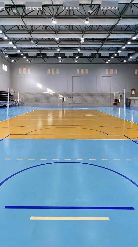 Volleyball Court